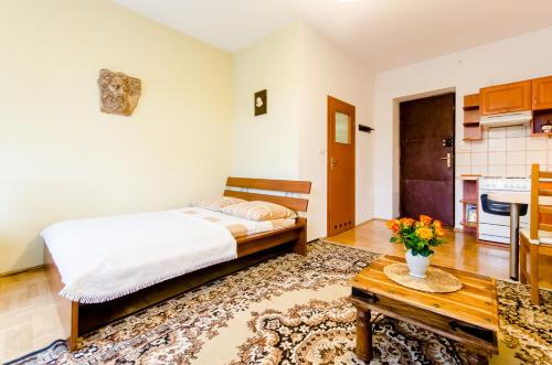 Central Krak Apartments - studios, Cracovie (photo 6)