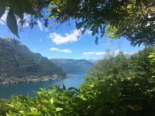 B&B Villa le Ortensie - main image
