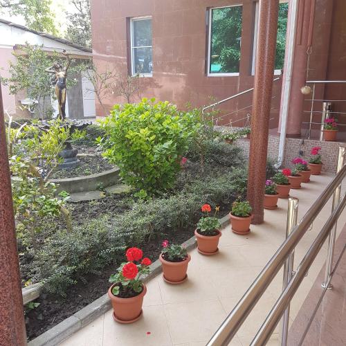 Alaya Roza - image 2