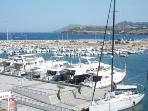 Appartement Argeles-sur-Mer, 2 pieces, 4 personnes - FR-1-225-36