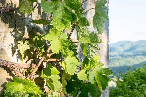 Agriturismo La Sala