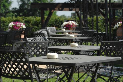 Royal Garden - image 12