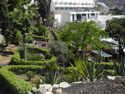 Apartamentos Los Mocanes - image 2