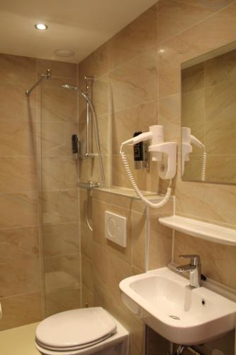 Blossoms City Hotel - image 2