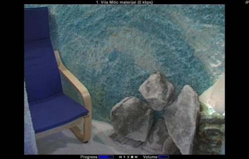 Vila Mitic - image 7