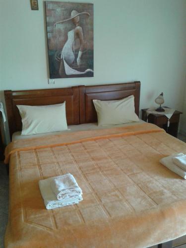 Guesthouse Adonis - image 12