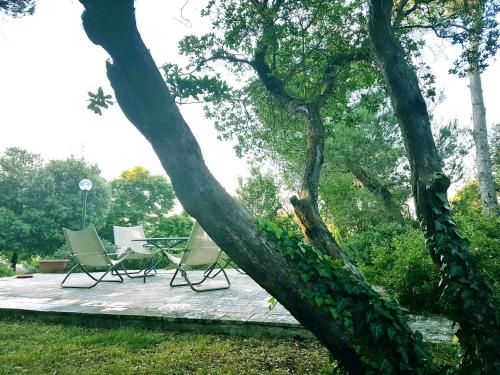 Villa Cenzina B&B – Selva di Fasano, AR