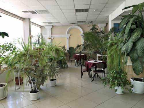 Fanti Hotel - image 11