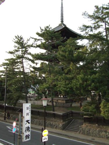 Daibutsukan - Accommodation - Nara