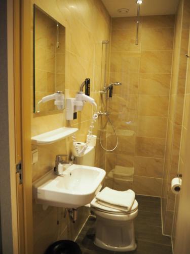 Aston City Hotel - image 7
