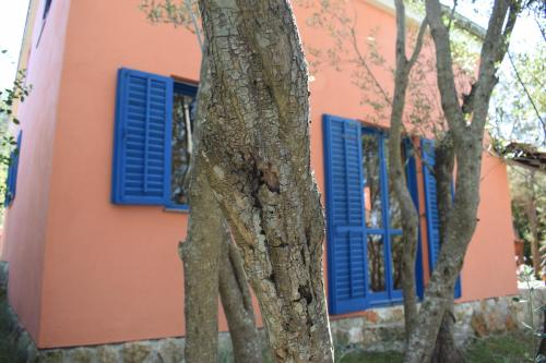  Dove's house in Rava