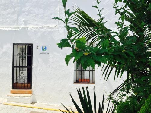 Casas Manolo - image 2