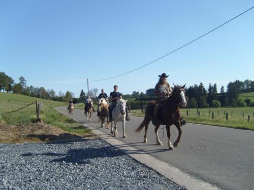 B&B Willow Springs Way Station