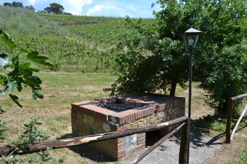 Agriturismo Patrizia Falciani - image 2