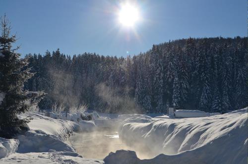 สภาพแวดล้อมโดยรอบ, Haus Bergkristall in ไวดัค