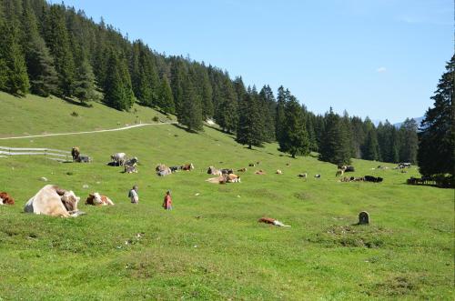 Haus Bergkristall - image 4