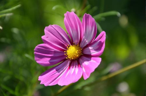 Haus Bergkristall - image 5