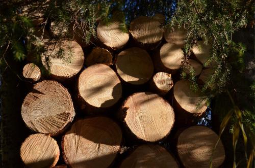 Haus Bergkristall - image 10