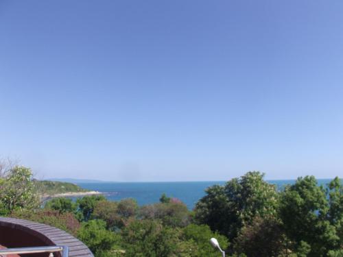 Hotel Zebra - image 13