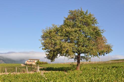 Gite le Pot de Vin