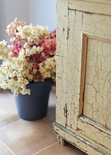 Guesthouse Lila - image 4