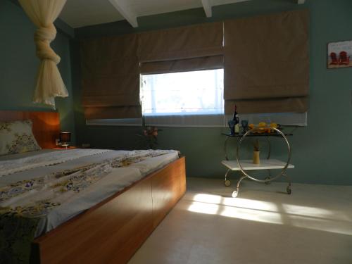  Turtle's nest in Vasilikos