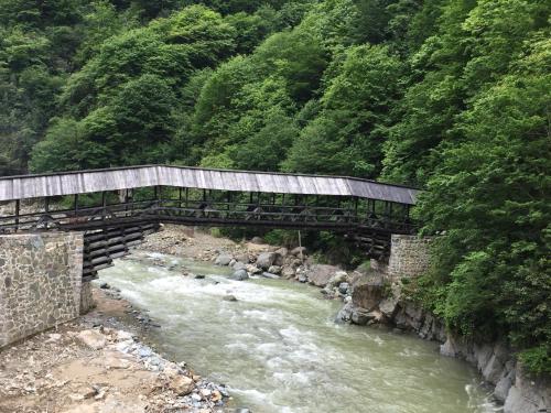  Beyaz Kosk in 53200 Çayeli