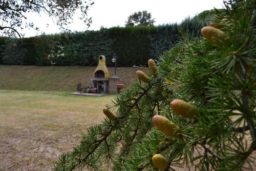 Casale Montemoro - image 10