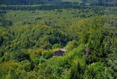B&B Bucaneve – Abetone, IA