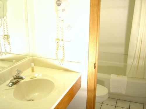 Wakota Inn and Suites - image 7