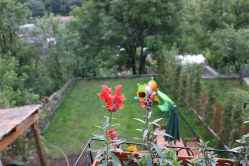 Dilijan Garden House