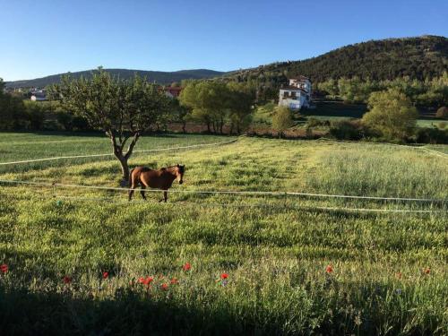 Hostal Restaurante San Millan