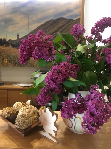 Gasthof Botenwirt - image 8