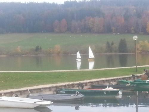 L'Ecrin du Lac chambre d'hôte Rochejean