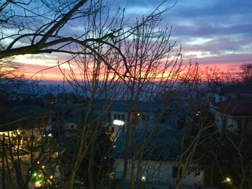  Alchemist in Portaria