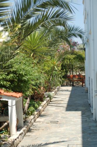 Aegean Villas - image 8