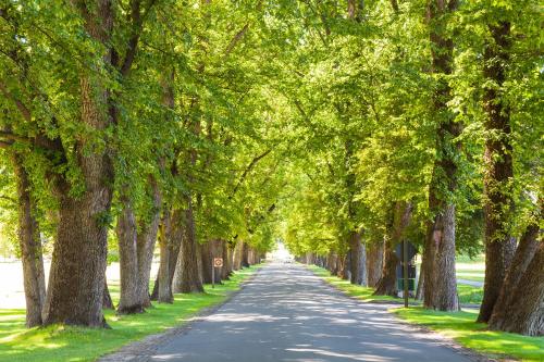 米尔布鲁克度假村 米尔布鲁克度假村