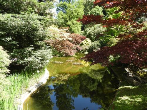 Chambre d'Hôtes - Les Oliviers chambre d'hôte Les Domaines de Patras