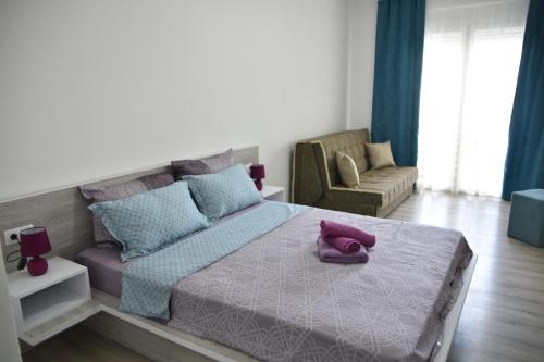 Apartments Casa Pineta - image 13