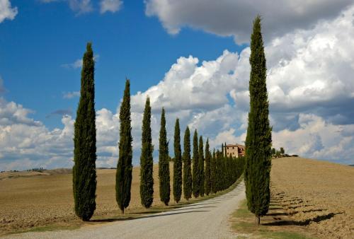 Appartamento con Vista - image 5