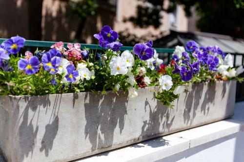 Downtown Authentic Apartments, Spalato (Split) (foto 10)