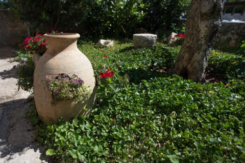 Grandi Trulli Bed & Breakfast – Alberobello, LA