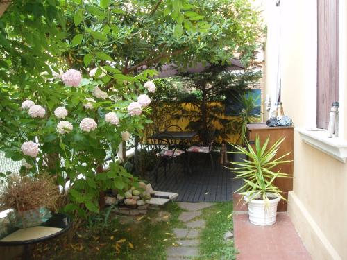 Perla B&b