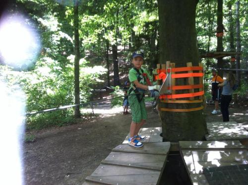 Sura Pietrei Craiului - image 5