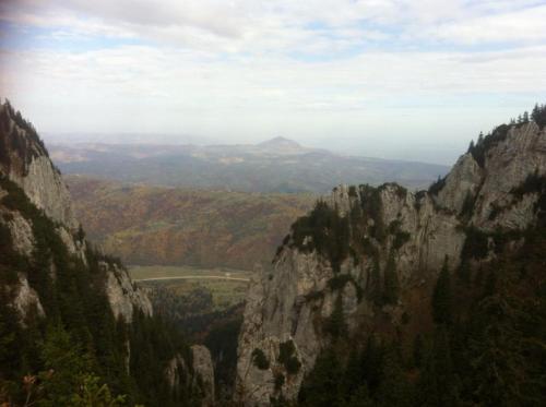 Sura Pietrei Craiului - main image