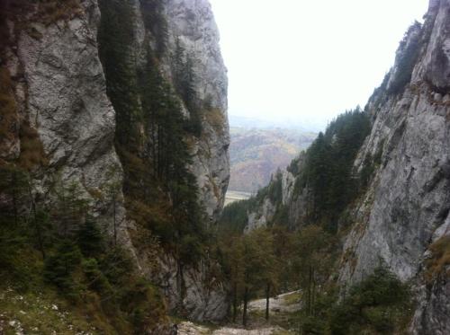 Sura Pietrei Craiului - image 3