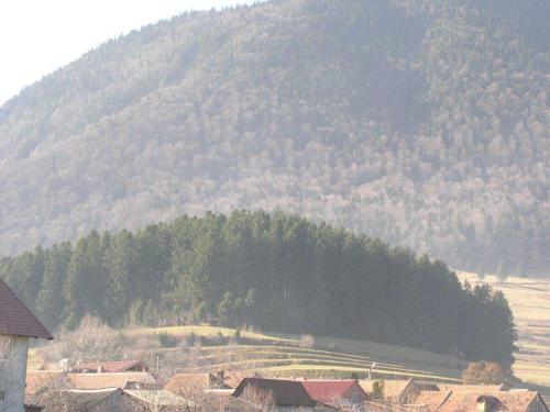 Sura Pietrei Craiului - image 13