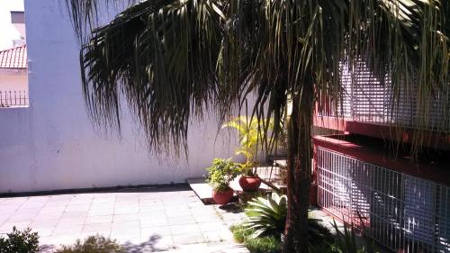 Comodita Homestay