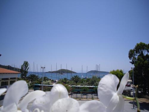Ifigenia Hotel - image 5