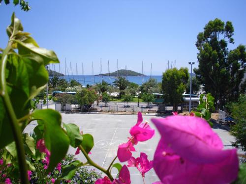 Ifigenia Hotel - image 12